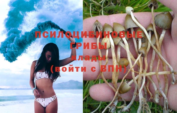 apvp Карталы