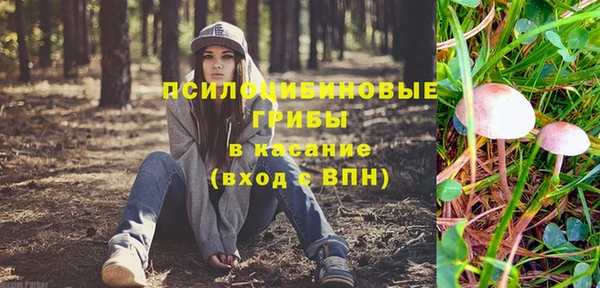 наркотики Карпинск