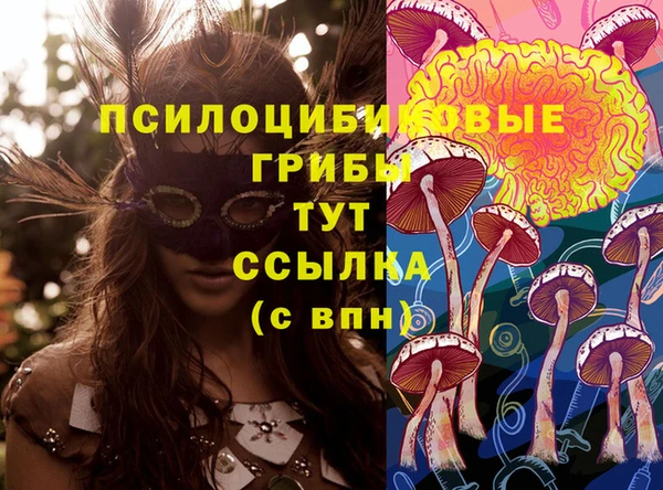 наркотики Карпинск