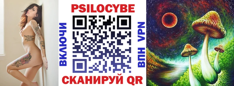 Купить где  Каргополь  Псилоцибиновые грибы Cubensis 